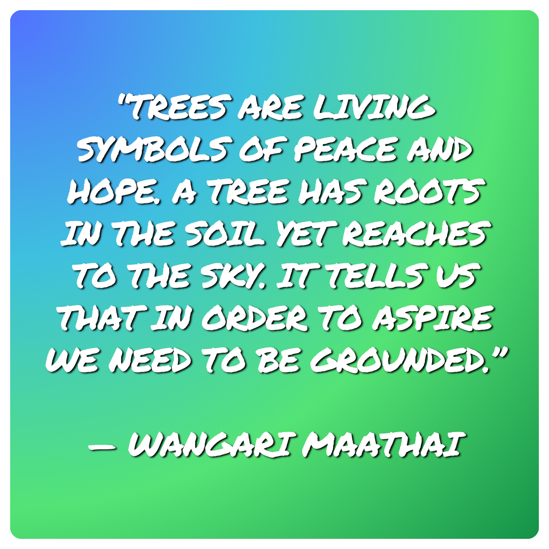 Wangari Maathai Quote